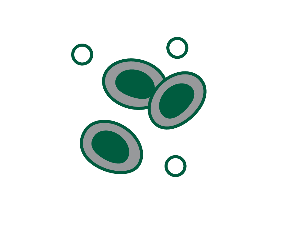 Stable RCC Supply icon