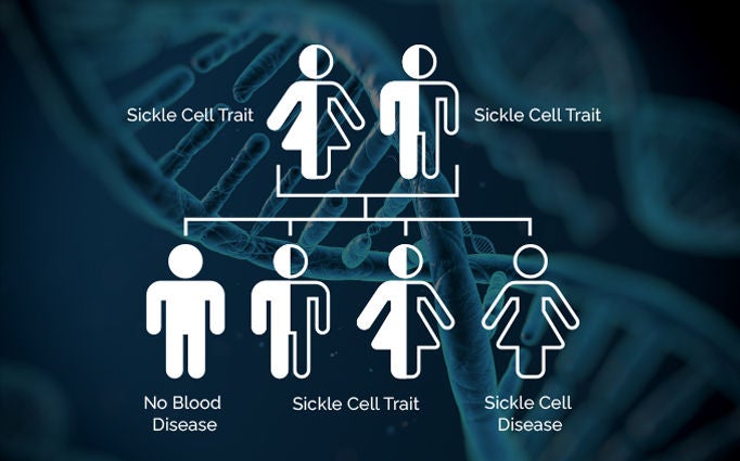 Sickle cell trait illustration